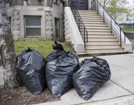 Professional waste removal team at work