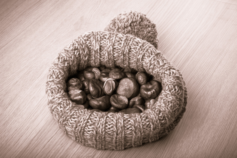 waste disposal waste collectors